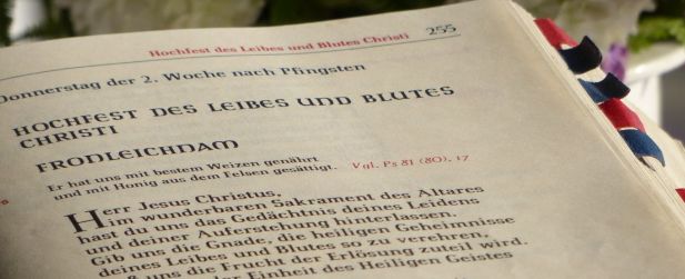 Willkommen Willkommen